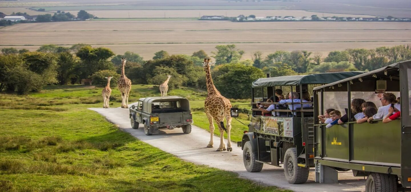 Corporate Offsite Ideas Safari